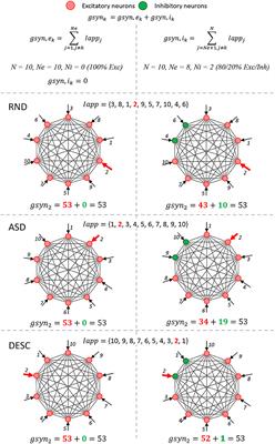 Mitigating Computer Limitations in Replicating Numerical Simulations of a Neural Network Model With Hodgkin-Huxley-Type Neurons